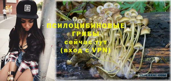 крисы Алзамай