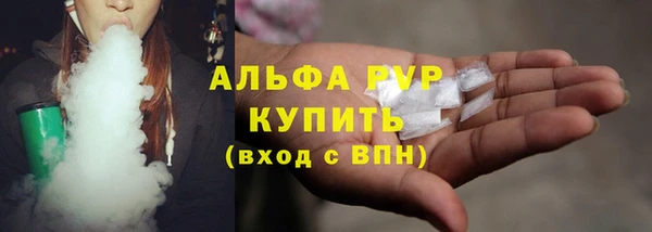 крисы Алзамай