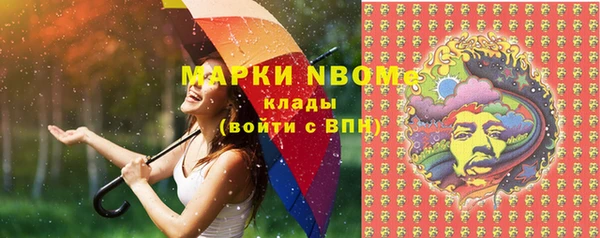 apvp Алексин