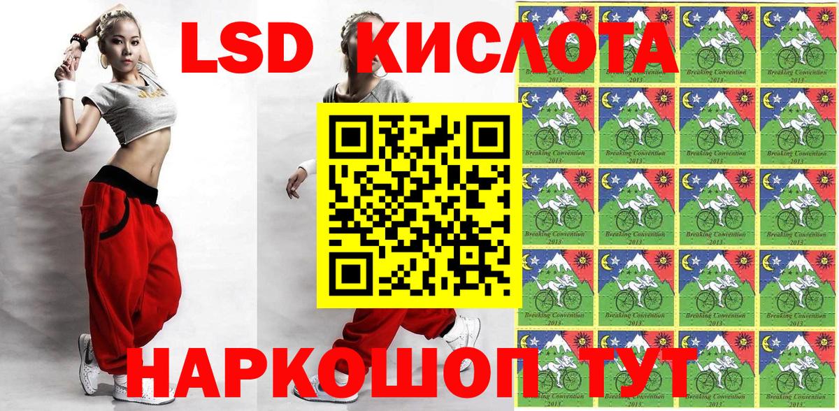 Псилоцибиновые грибы Сосновый Бор