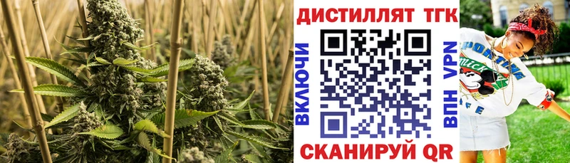 Дистиллят ТГК вейп с тгк  Сосновый Бор 