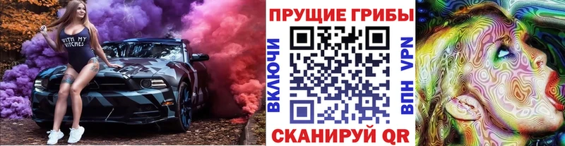 сайты даркнета как зайти  Сосновый Бор  Псилоцибиновые грибы Cubensis 