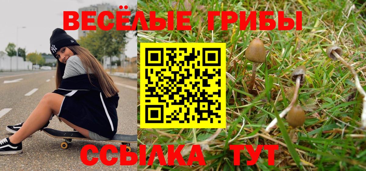 Псилоцибиновые грибы мухоморы  Вход с VPN  Сосновый Бор 