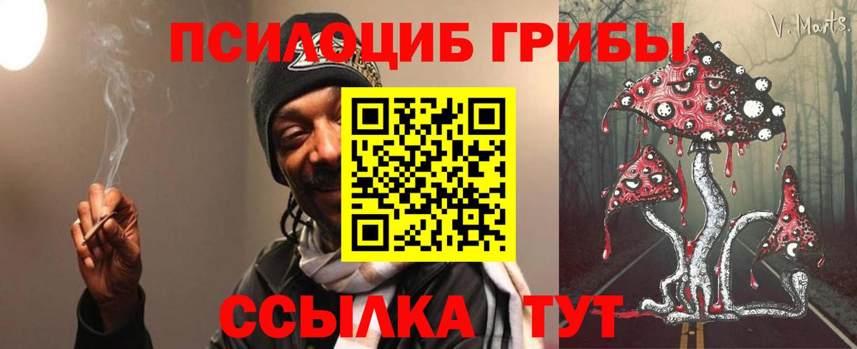 Галлюциногенные грибы MAGIC MUSHROOMS Сосновый Бор